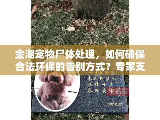 金湖宠物尸体处理，如何确保合法环保的告别方式？专家支招实用指南