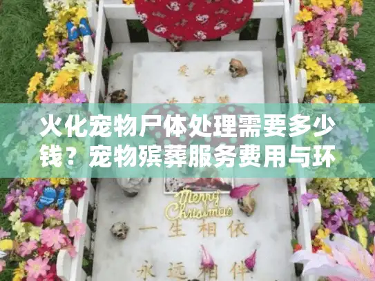 火化宠物尸体处理需要多少钱？宠物殡葬服务费用与环保选择全指南