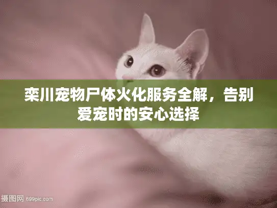 栾川宠物尸体火化服务全解，告别爱宠时的安心选择