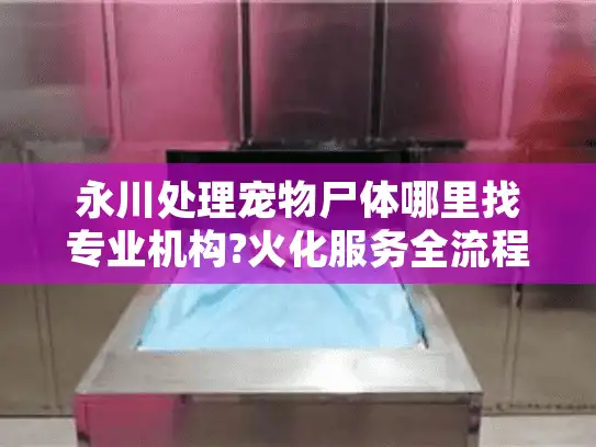 永川处理宠物尸体哪里找专业机构?火化服务全流程解答