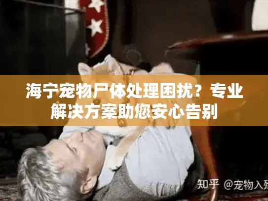 海宁宠物尸体处理困扰？专业解决方案助您安心告别