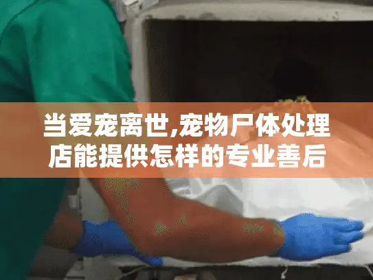 当爱宠离世,宠物尸体处理店能提供怎样的专业善后服务?
