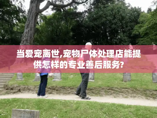 当爱宠离世,宠物尸体处理店能提供怎样的专业善后服务?