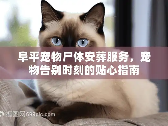 阜平宠物尸体安葬服务，宠物告别时刻的贴心指南