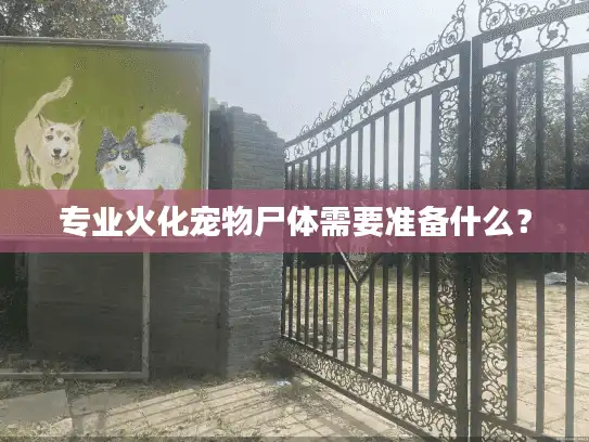 专业火化宠物尸体需要准备什么？