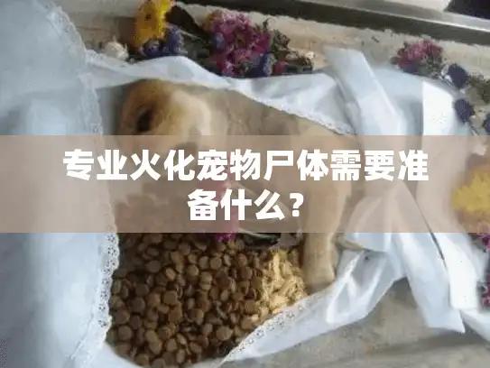 专业火化宠物尸体需要准备什么？