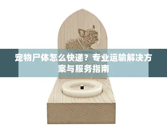 宠物尸体怎么快递？专业运输解决方案与服务指南