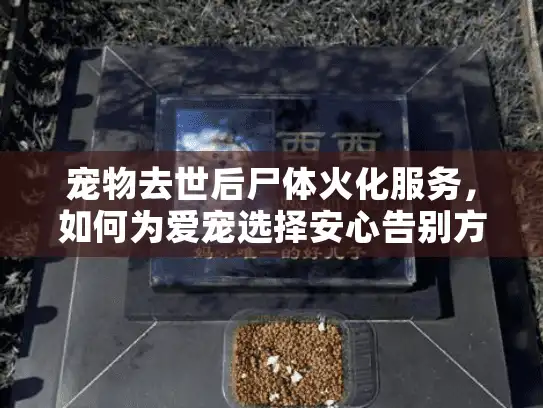 宠物去世后尸体火化服务，如何为爱宠选择安心告别方案?