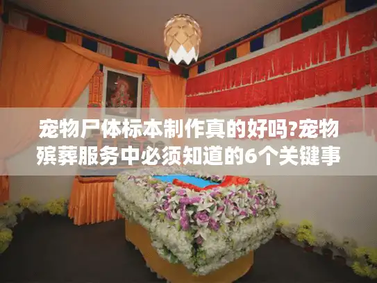 宠物尸体标本制作真的好吗?宠物殡葬服务中必须知道的6个关键事实