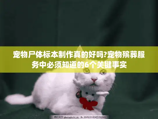 宠物尸体标本制作真的好吗?宠物殡葬服务中必须知道的6个关键事实
