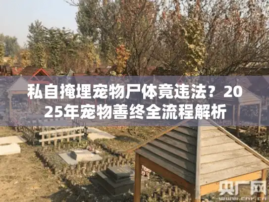 私自掩埋宠物尸体竟违法？2025年宠物善终全流程解析