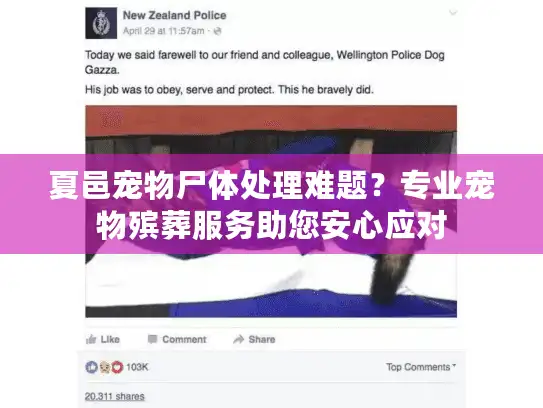 夏邑宠物尸体处理难题？专业宠物殡葬服务助您安心应对