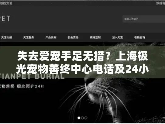 失去爱宠手足无措？上海极光宠物善终中心电话及24小时服务全解析