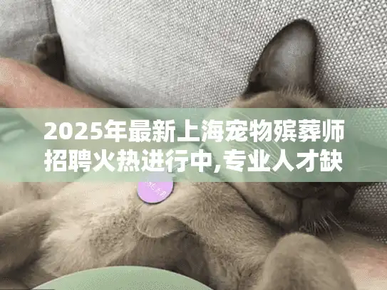 2025年最新上海宠物殡葬师招聘火热进行中,专业人才缺口达百人
