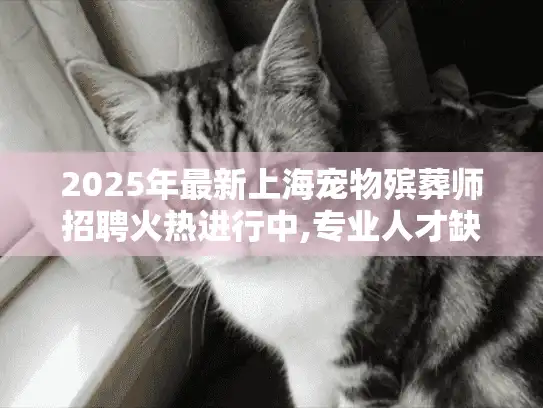 2025年最新上海宠物殡葬师招聘火热进行中,专业人才缺口达百人