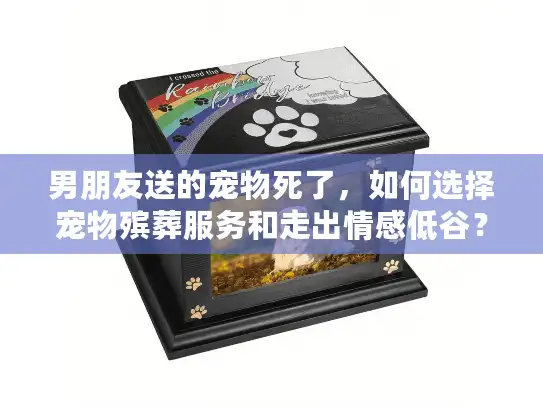男朋友送的宠物死了，如何选择宠物殡葬服务和走出情感低谷？