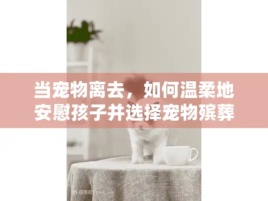 当宠物离去，如何温柔地安慰孩子并选择宠物殡葬服务
