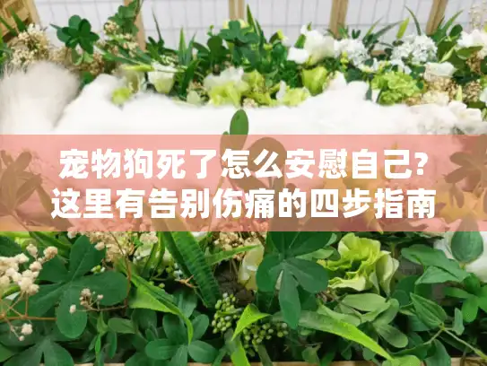 宠物狗死了怎么安慰自己?这里有告别伤痛的四步指南