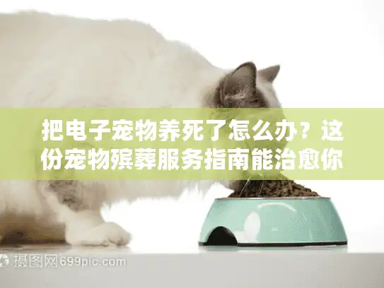 把电子宠物养死了怎么办？这份宠物殡葬服务指南能治愈你的心