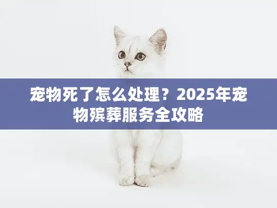 宠物死了怎么处理？2025年宠物殡葬服务全攻略
