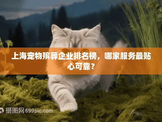 上海宠物殡葬企业排名榜，哪家服务最贴心可靠？