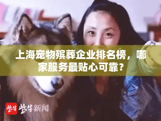 上海宠物殡葬企业排名榜，哪家服务最贴心可靠？