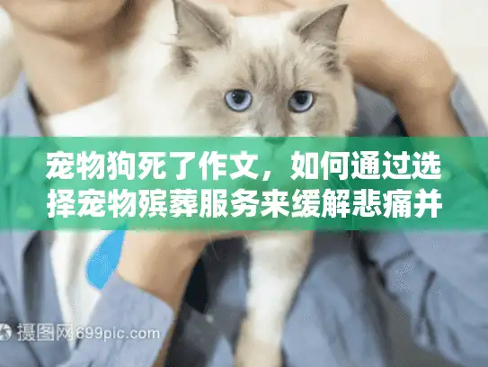 宠物狗死了作文，如何通过选择宠物殡葬服务来缓解悲痛并纪念爱宠？