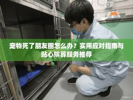 宠物死了朋友圈怎么办？实用应对指南与贴心殡葬服务推荐
