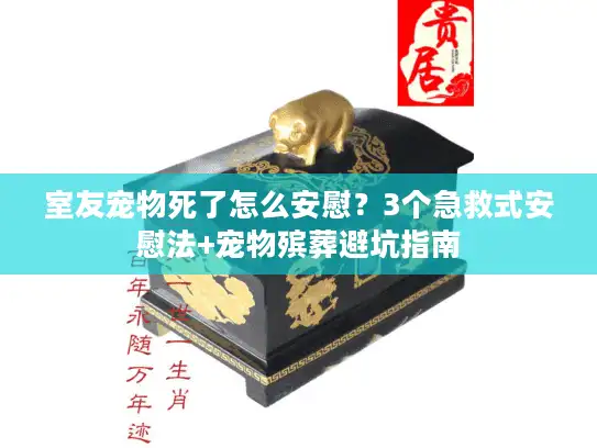 室友宠物死了怎么安慰？3个急救式安慰法+宠物殡葬避坑指南