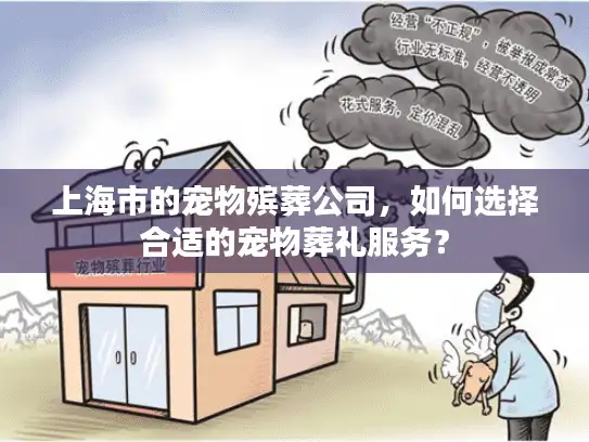 上海市的宠物殡葬公司，如何选择合适的宠物葬礼服务？