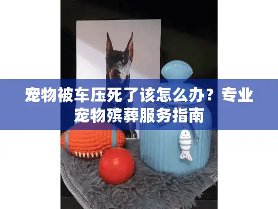 宠物被车压死了该怎么办？专业宠物殡葬服务指南