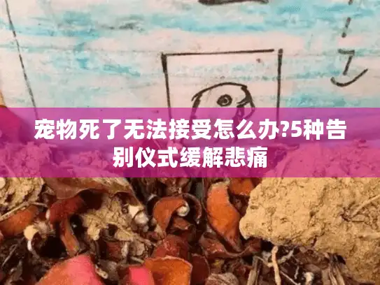 宠物死了无法接受怎么办?5种告别仪式缓解悲痛