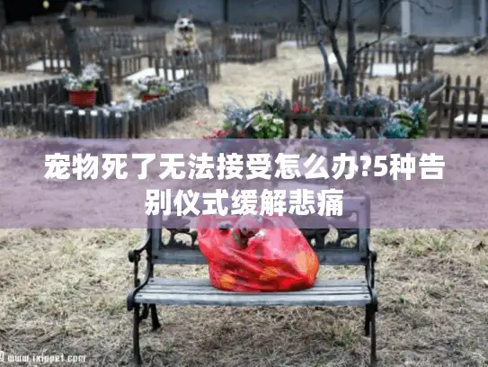 宠物死了无法接受怎么办?5种告别仪式缓解悲痛