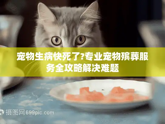 宠物生病快死了?专业宠物殡葬服务全攻略解决难题