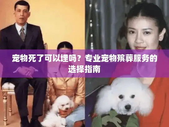 宠物死了可以埋吗？专业宠物殡葬服务的选择指南