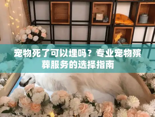 宠物死了可以埋吗？专业宠物殡葬服务的选择指南