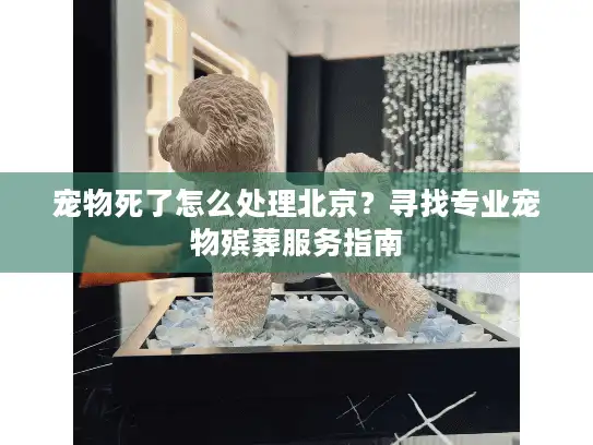 宠物死了怎么处理北京？寻找专业宠物殡葬服务指南