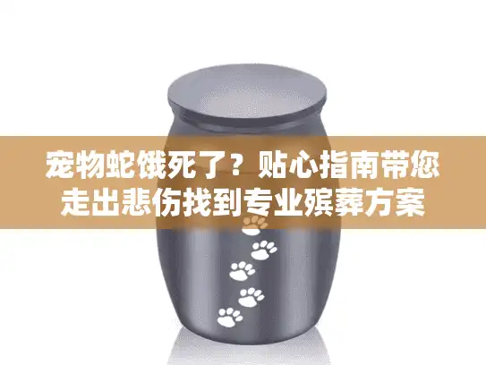 宠物蛇饿死了？贴心指南带您走出悲伤找到专业殡葬方案