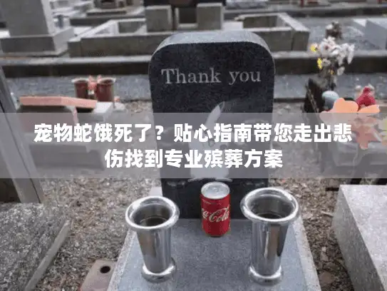 宠物蛇饿死了？贴心指南带您走出悲伤找到专业殡葬方案