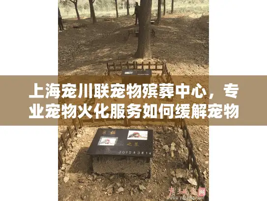 上海宠川联宠物殡葬中心，专业宠物火化服务如何缓解宠物主人的悲伤？