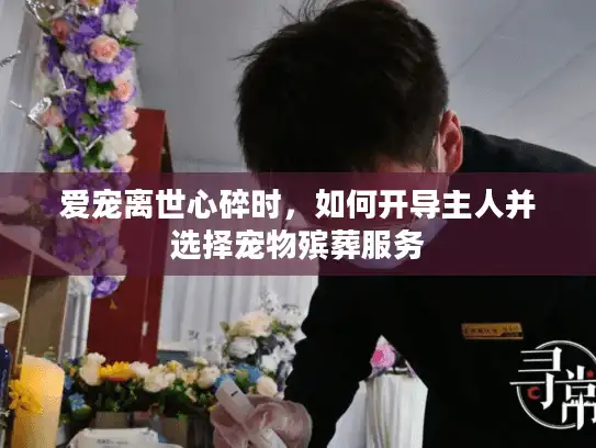爱宠离世心碎时，如何开导主人并选择宠物殡葬服务