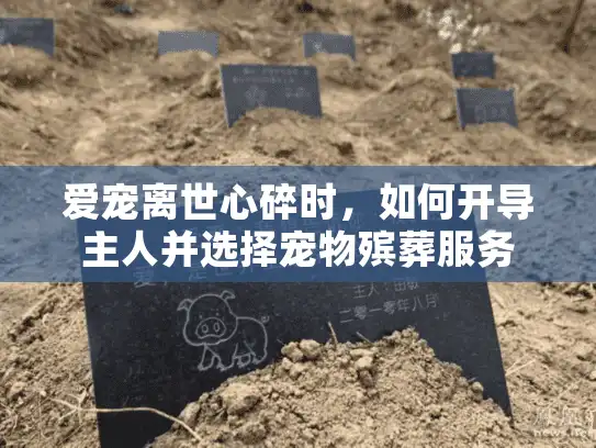 爱宠离世心碎时，如何开导主人并选择宠物殡葬服务