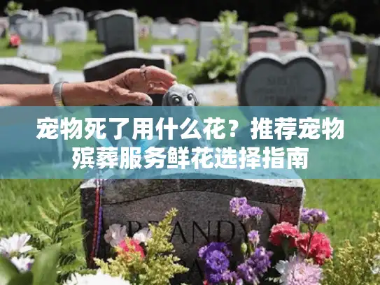 宠物死了用什么花？推荐宠物殡葬服务鲜花选择指南