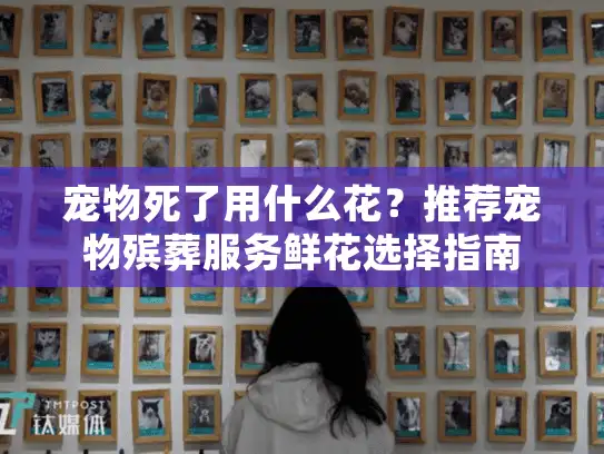 宠物死了用什么花？推荐宠物殡葬服务鲜花选择指南