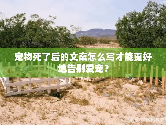 宠物死了后的文案怎么写才能更好地告别爱宠？