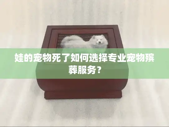 娃的宠物死了如何选择专业宠物殡葬服务？