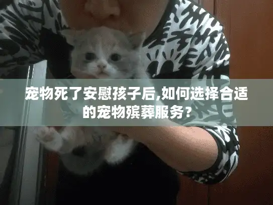 宠物死了安慰孩子后,如何选择合适的宠物殡葬服务？
