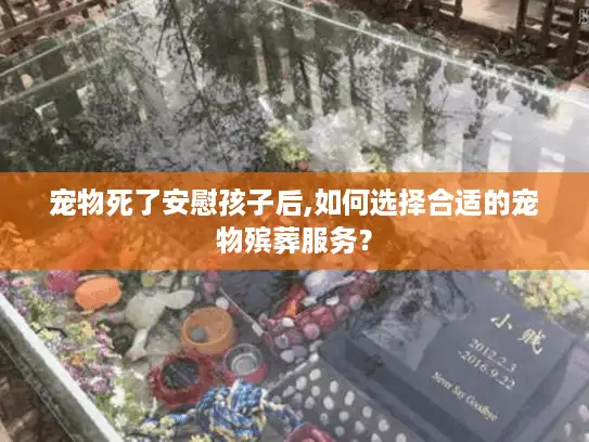 宠物死了安慰孩子后,如何选择合适的宠物殡葬服务？