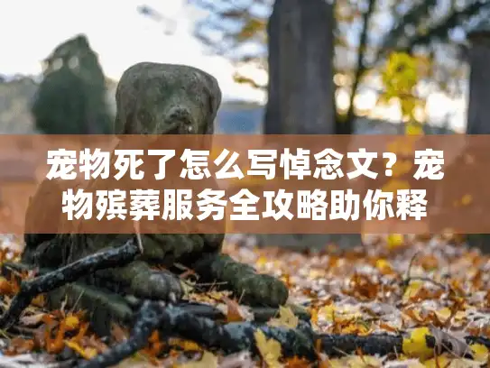 宠物死了怎么写悼念文？宠物殡葬服务全攻略助你释怀伤痛