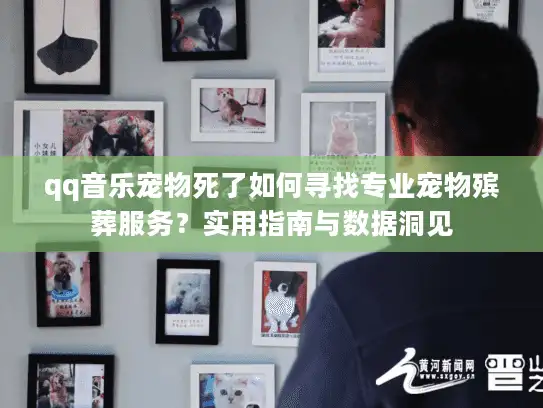 qq音乐宠物死了如何寻找专业宠物殡葬服务？实用指南与数据洞见